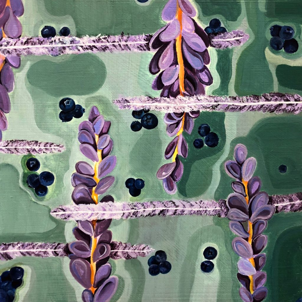 Bar Harbor Blueberry Fields, Acrylic on Panel, 12in x 12in