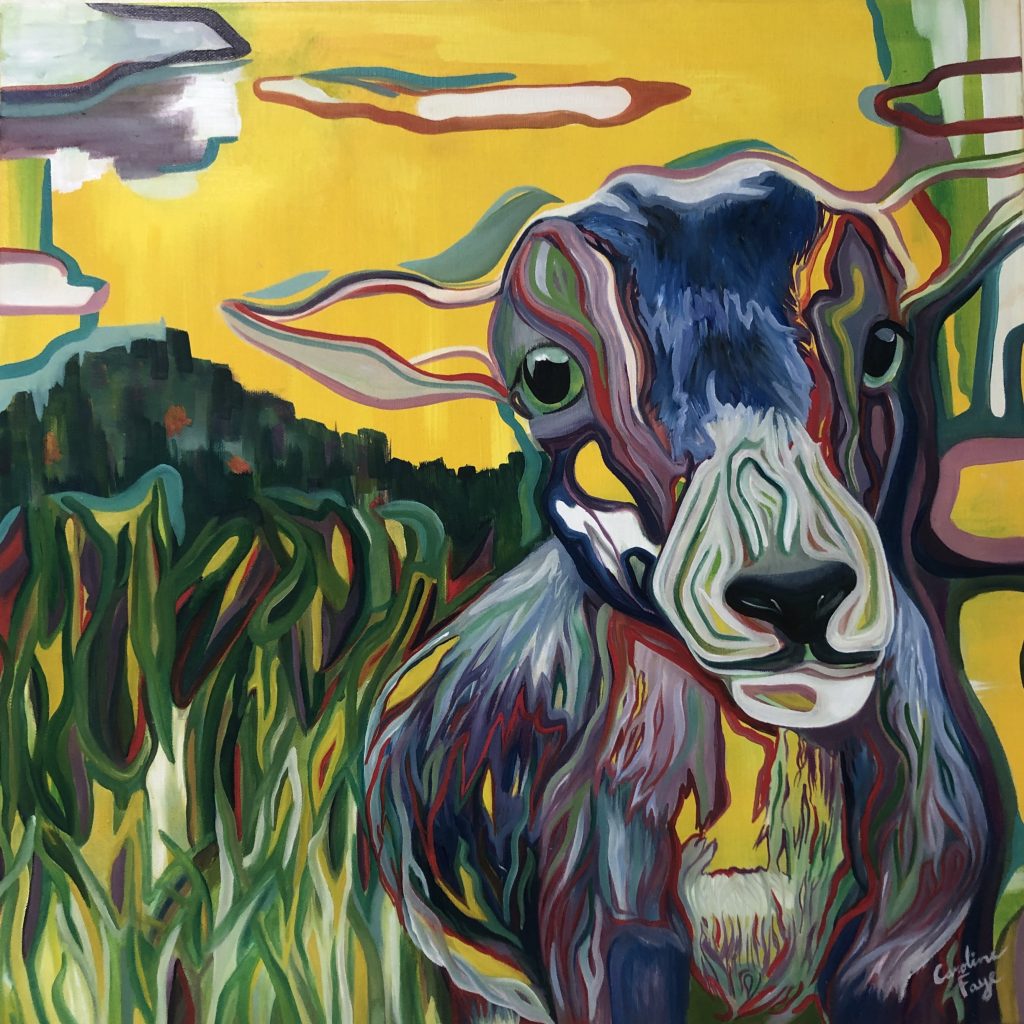 Baby Goat in Color, Oil on Canvas, 18in x 18in (SOLD)